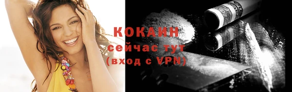spice Алзамай