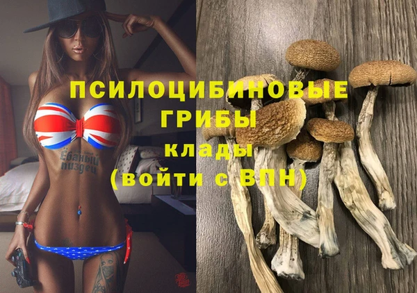 МДПВ Алексин