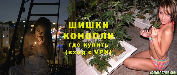 МДПВ Алексин