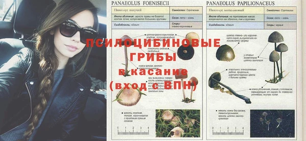spice Алзамай