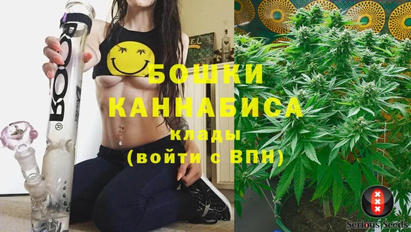 МДПВ Алексин