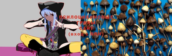 крисы Алексеевка