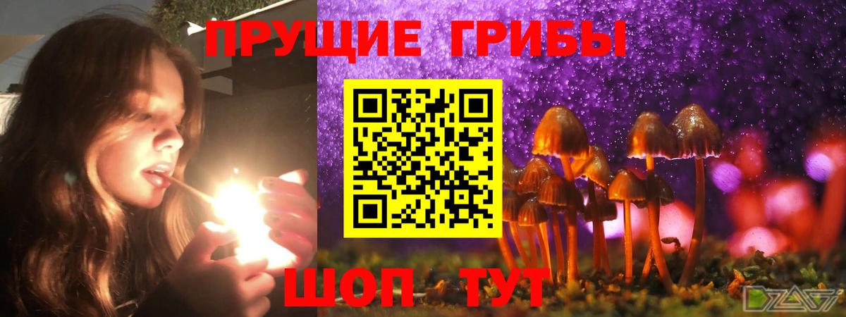 Псилоцибиновые грибы Cubensis Ейск